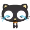 Cat Black 2  ‍ 18