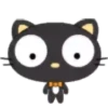 Cat Black 2  ‍ 20