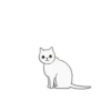 White kitty Mov 20