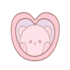 Rosado lindo DAGOM 15