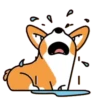 Perrito Prime  MOV. 19