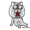 Angry CatMovi 12