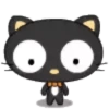Cat Black 2  ‍ 21
