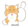 Orange CatMovi 20