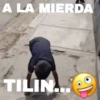 Secuencias Tilin mov 8