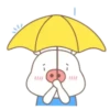 LovElY pig   MOV 20