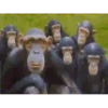 MONOS 26