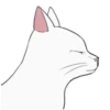 White kitty Mov 23