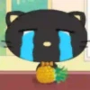 Cat Black 2  ‍ 22
