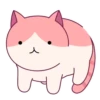 Cats 25