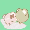 Good evening 24
