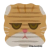 Orange CatMovi 22