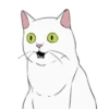 White kitty Mov 24