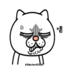 Angry CatMovi 16