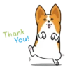 Perrito Prime  MOV. 24