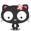 Cat Black 2  ‍ 23
