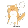 Orange CatMovi 24