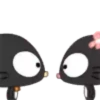 Cat Black 2  ‍ 24