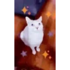 GATITOS GRACIOSOS 28