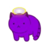 Cats 29