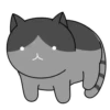 Cats 30