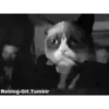 GATITOS GRACIOSOS 29