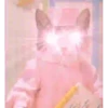 GATITOS GRACIOSOS 30