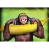 MONOS 29
