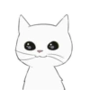 White kitty Mov 25