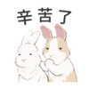 紐約狗狗2兔兔日常 5