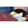 various wake up reactions 5