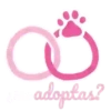Adopta 1 Movi 8