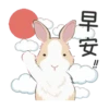 紐約狗狗2兔兔日常 8