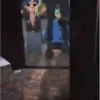Gorillaz 7