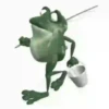 Diversidad frog 1 Movi 8