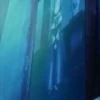 Pokémon  Mov. 6