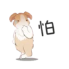 紐約狗狗2兔兔日常 10