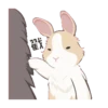 紐約狗狗2兔兔日常 11