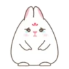 Cute White Rabbit  MOV 7
