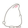 Cute White Rabbit  MOV 8