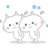 Mery  MOV 9