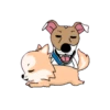 Puyo jrt狗和家庭 7