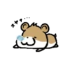 Hamster & Cat .MOV 8