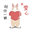紐約狗狗2兔兔日常 12