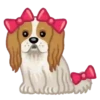 Canes con Actitud 1 Movi 11
