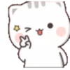 Kitty 1-20 9