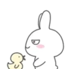 MR.rabbit   MOV 11