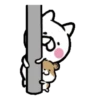 Hamster & Cat .MOV 10