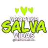 Adopta 1 Movi 16