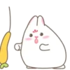 Cute White Rabbit  MOV 10